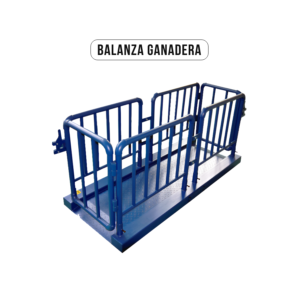 Balanza ganadera con jaula de acero estructural y plataforma pintada en azul, diseñada para el pesaje de animales en granjas o camales.