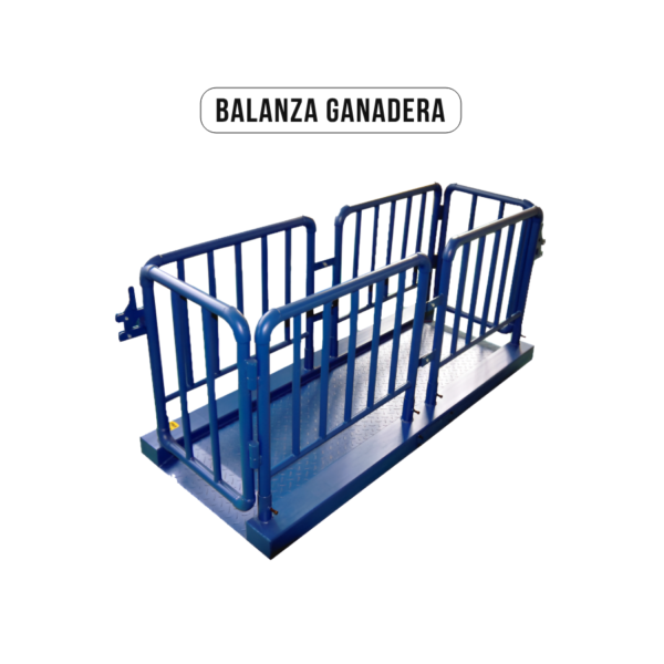 Balanza ganadera con jaula de acero estructural y plataforma pintada en azul, diseñada para el pesaje de animales en granjas o camales.