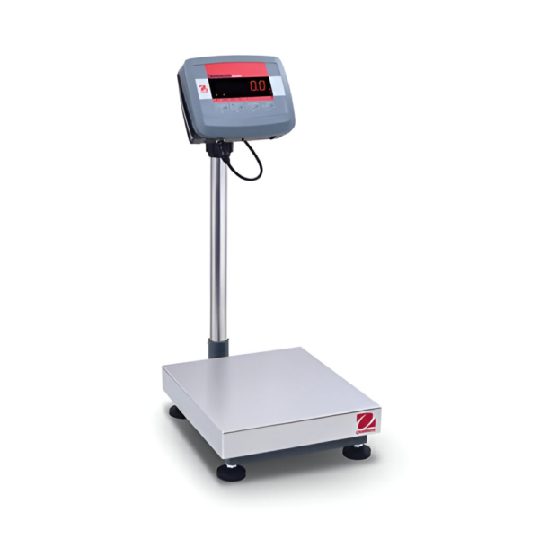 Balanza de piso OHAUS Defender 2000 con indicador T24P y plataforma industrial de acero al carbono para pesaje de alta capacidad.
